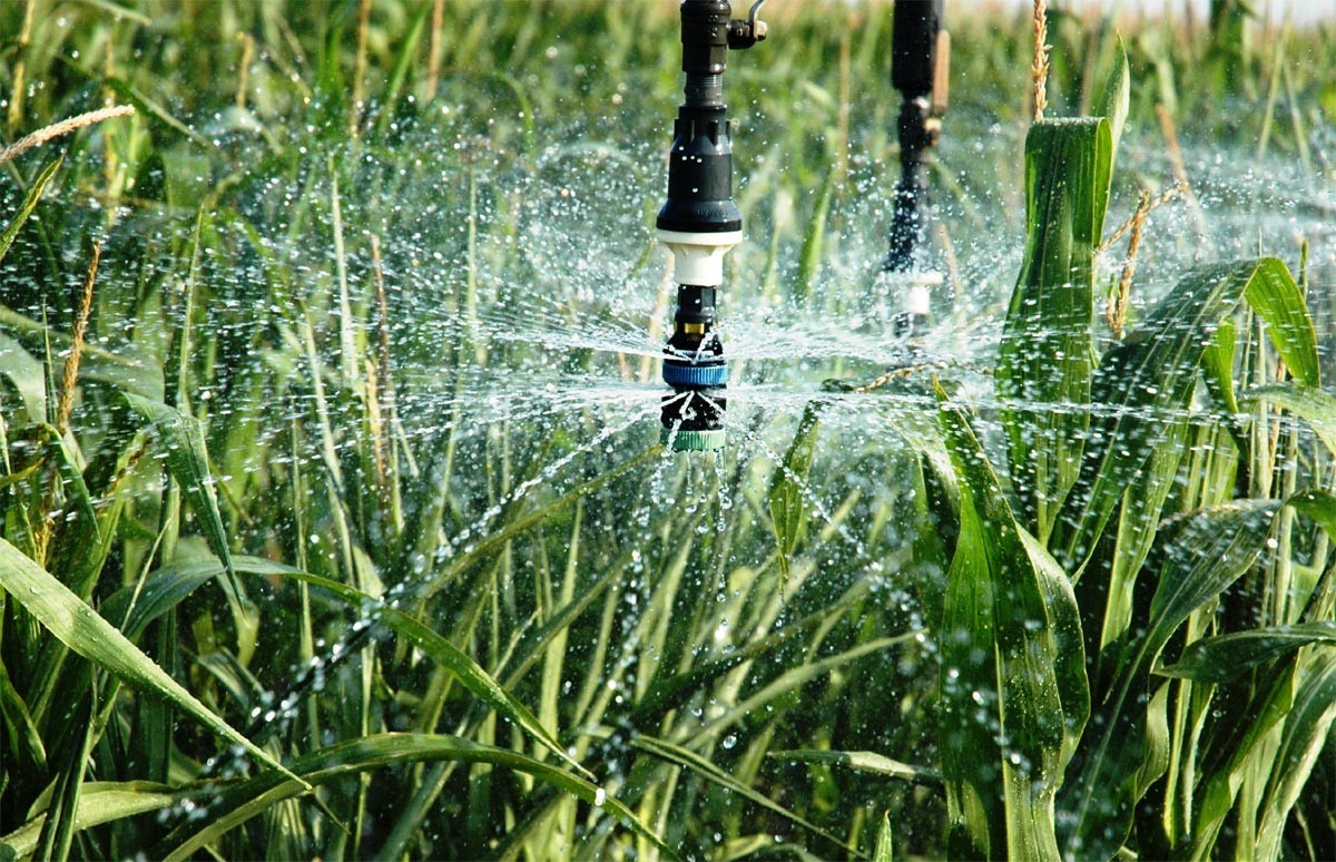 最新の会社の事例について 都市芝生の理性的な用水系統